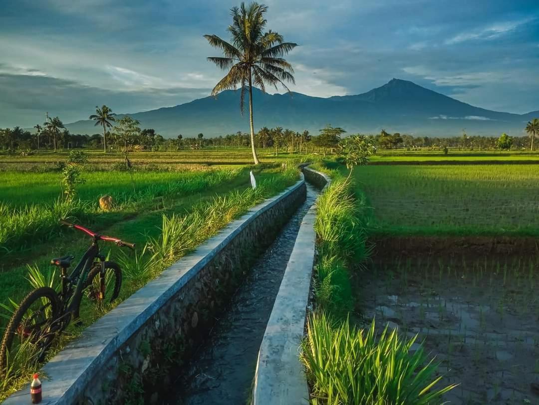 Peraja Bungalows Loyok Sangyang Номер фото